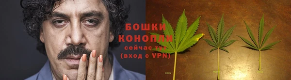хмурый Волосово