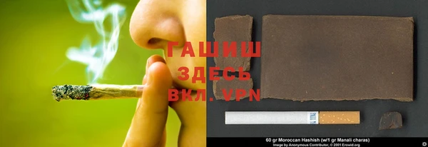 PSILOCYBIN Вяземский