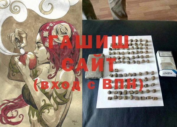 PSILOCYBIN Вяземский