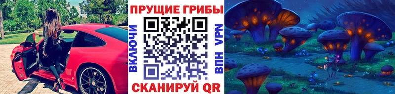 Галлюциногенные грибы GOLDEN TEACHER  МЕГА зеркало  Дубовка 