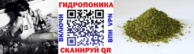 это телеграм  Дубовка  Каннабис планчик 